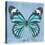 Miss Butterfly Genutia Sq - Turquoise-Philippe Hugonnard-Stretched Canvas