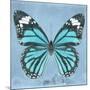 Miss Butterfly Genutia Sq - Turquoise-Philippe Hugonnard-Mounted Photographic Print