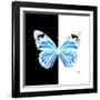 Miss Butterfly Genutia Sq - X-Ray B&W Edition-Philippe Hugonnard-Framed Photographic Print