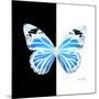 Miss Butterfly Genutia Sq - X-Ray B&W Edition-Philippe Hugonnard-Mounted Photographic Print