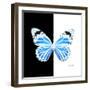 Miss Butterfly Genutia Sq - X-Ray B&W Edition-Philippe Hugonnard-Framed Photographic Print