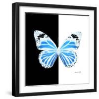 Miss Butterfly Genutia Sq - X-Ray B&W Edition-Philippe Hugonnard-Framed Photographic Print