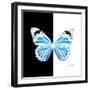 Miss Butterfly Genutia Sq - X-Ray B&W Edition-Philippe Hugonnard-Framed Photographic Print