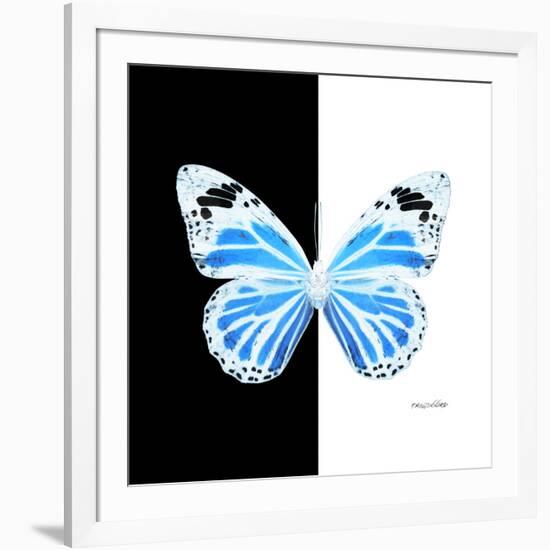 Miss Butterfly Genutia Sq - X-Ray B&W Edition-Philippe Hugonnard-Framed Photographic Print