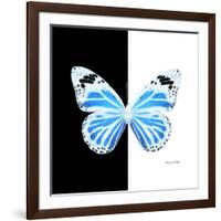 Miss Butterfly Genutia Sq - X-Ray B&W Edition-Philippe Hugonnard-Framed Photographic Print