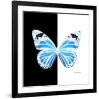 Miss Butterfly Genutia Sq - X-Ray B&W Edition-Philippe Hugonnard-Framed Photographic Print