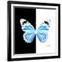 Miss Butterfly Genutia Sq - X-Ray B&W Edition-Philippe Hugonnard-Framed Photographic Print