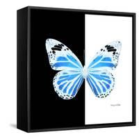 Miss Butterfly Genutia Sq - X-Ray B&W Edition-Philippe Hugonnard-Framed Stretched Canvas