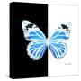 Miss Butterfly Genutia Sq - X-Ray B&W Edition-Philippe Hugonnard-Stretched Canvas