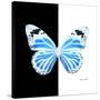 Miss Butterfly Genutia Sq - X-Ray B&W Edition-Philippe Hugonnard-Stretched Canvas