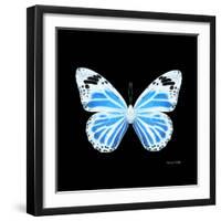 Miss Butterfly Genutia Sq - X-Ray Black Edition-Philippe Hugonnard-Framed Photographic Print