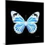 Miss Butterfly Genutia Sq - X-Ray Black Edition-Philippe Hugonnard-Mounted Photographic Print