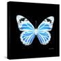 Miss Butterfly Genutia Sq - X-Ray Black Edition-Philippe Hugonnard-Stretched Canvas