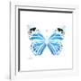 Miss Butterfly Genutia Sq - X-Ray White Edition-Philippe Hugonnard-Framed Photographic Print