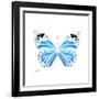 Miss Butterfly Genutia Sq - X-Ray White Edition-Philippe Hugonnard-Framed Photographic Print