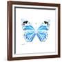Miss Butterfly Genutia Sq - X-Ray White Edition-Philippe Hugonnard-Framed Photographic Print