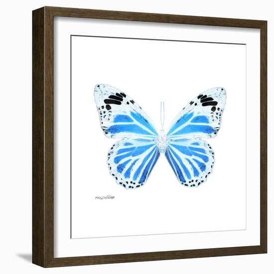 Miss Butterfly Genutia Sq - X-Ray White Edition-Philippe Hugonnard-Framed Photographic Print