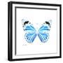 Miss Butterfly Genutia Sq - X-Ray White Edition-Philippe Hugonnard-Framed Photographic Print