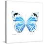 Miss Butterfly Genutia Sq - X-Ray White Edition-Philippe Hugonnard-Stretched Canvas