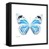 Miss Butterfly Genutia Sq - X-Ray White Edition-Philippe Hugonnard-Framed Stretched Canvas