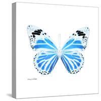Miss Butterfly Genutia Sq - X-Ray White Edition-Philippe Hugonnard-Stretched Canvas