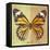 Miss Butterfly Genutia Sq - Yellow & Honey-Philippe Hugonnard-Framed Stretched Canvas