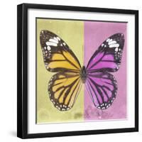 Miss Butterfly Genutia Sq - Yellow & Pink-Philippe Hugonnard-Framed Premium Photographic Print