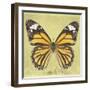 Miss Butterfly Genutia Sq - Yellow-Philippe Hugonnard-Framed Photographic Print