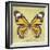 Miss Butterfly Genutia Sq - Yellow-Philippe Hugonnard-Framed Photographic Print