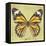 Miss Butterfly Genutia Sq - Yellow-Philippe Hugonnard-Framed Stretched Canvas