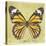 Miss Butterfly Genutia Sq - Yellow-Philippe Hugonnard-Stretched Canvas