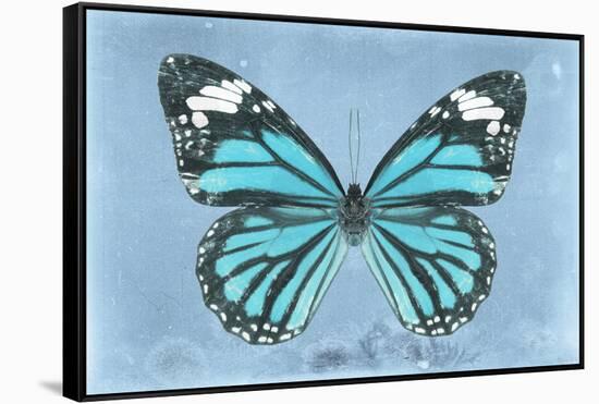 Miss Butterfly Genutia - Turquoise-Philippe Hugonnard-Framed Stretched Canvas