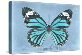 Miss Butterfly Genutia - Turquoise-Philippe Hugonnard-Stretched Canvas