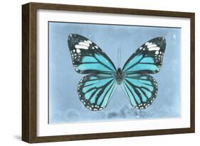 Miss Butterfly Genutia - Turquoise-Philippe Hugonnard-Framed Photographic Print