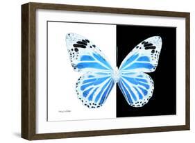 Miss Butterfly Genutia - X-Ray B&W Edition-Philippe Hugonnard-Framed Photographic Print