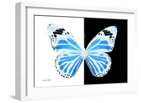 Miss Butterfly Genutia - X-Ray B&W Edition-Philippe Hugonnard-Framed Photographic Print