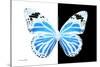 Miss Butterfly Genutia - X-Ray B&W Edition-Philippe Hugonnard-Stretched Canvas