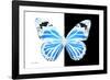 Miss Butterfly Genutia - X-Ray B&W Edition-Philippe Hugonnard-Framed Photographic Print