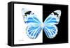 Miss Butterfly Genutia - X-Ray B&W Edition-Philippe Hugonnard-Framed Stretched Canvas