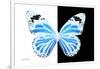 Miss Butterfly Genutia - X-Ray B&W Edition-Philippe Hugonnard-Framed Photographic Print