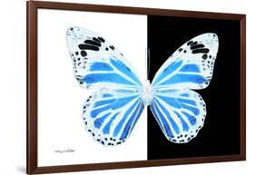 Miss Butterfly Genutia - X-Ray B&W Edition-Philippe Hugonnard-Framed Photographic Print