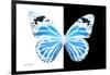 Miss Butterfly Genutia - X-Ray B&W Edition-Philippe Hugonnard-Framed Photographic Print