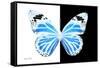 Miss Butterfly Genutia - X-Ray B&W Edition-Philippe Hugonnard-Framed Stretched Canvas