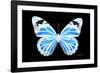 Miss Butterfly Genutia - X-Ray Black Edition-Philippe Hugonnard-Framed Photographic Print