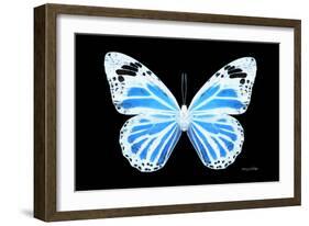 Miss Butterfly Genutia - X-Ray Black Edition-Philippe Hugonnard-Framed Photographic Print