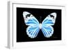 Miss Butterfly Genutia - X-Ray Black Edition-Philippe Hugonnard-Framed Photographic Print