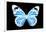 Miss Butterfly Genutia - X-Ray Black Edition-Philippe Hugonnard-Framed Photographic Print