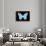 Miss Butterfly Genutia - X-Ray Black Edition-Philippe Hugonnard-Framed Photographic Print displayed on a wall