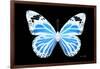 Miss Butterfly Genutia - X-Ray Black Edition-Philippe Hugonnard-Framed Photographic Print