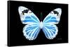 Miss Butterfly Genutia - X-Ray Black Edition-Philippe Hugonnard-Framed Stretched Canvas
